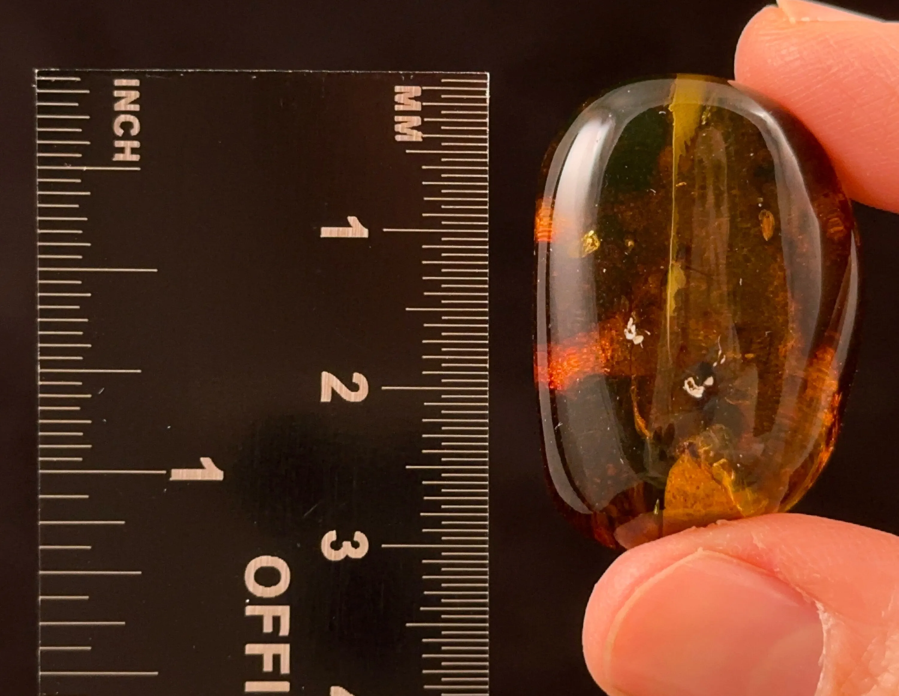 AMBER Stone - Insect Inclusion, Real Fossil - Tumbled Stones, Tumbled Crystals, Healing Crystals and Stones,  52730